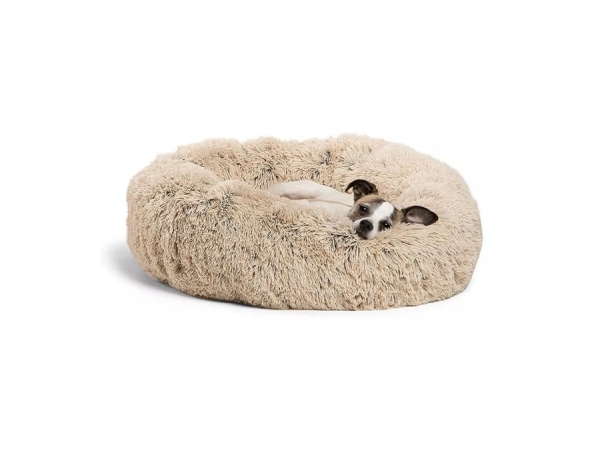 PET BEDS LIST